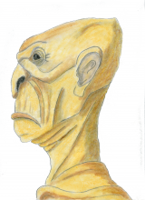 Bokar Profile