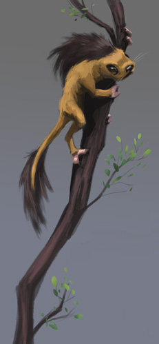 Male Infita