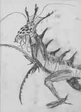 Psiren Concept Sketch 1