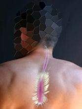 Sathar Bioform