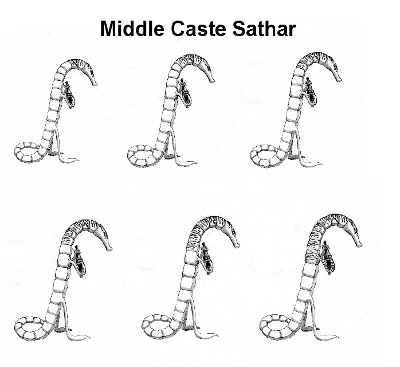 Sathar MIddle Caste