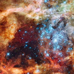 NASA image of Tarantula Nebula